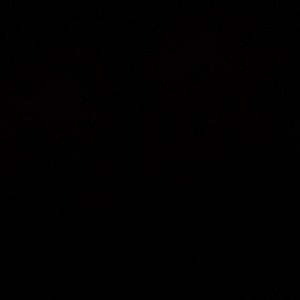 Meet your Posher, Shupe